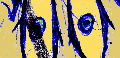 Item #113748360937860426852501826608691788801079346301707507798112364925053013327873 Media