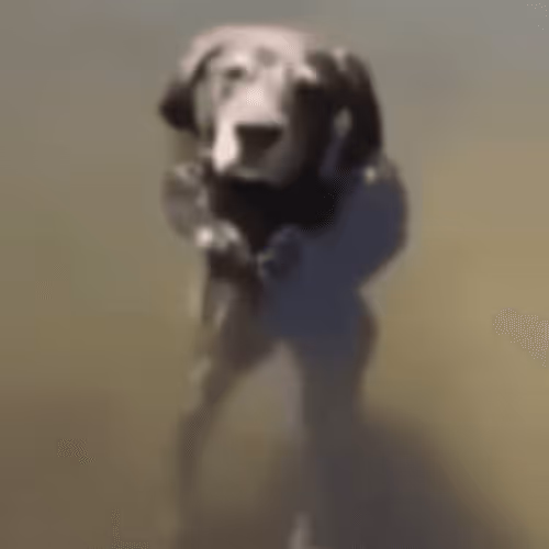 Item #104605976260876791377039614504978369400408931934748651931442096089029438078977 Media