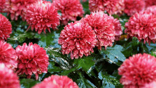 Item #75866091947728652238534111254584504918190435733442380629681527324062651514881 Media