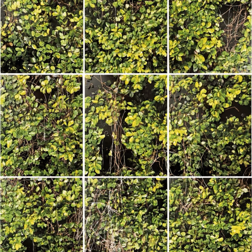 8955452666369490765702763622116220704964274093037672869107848686203075297281