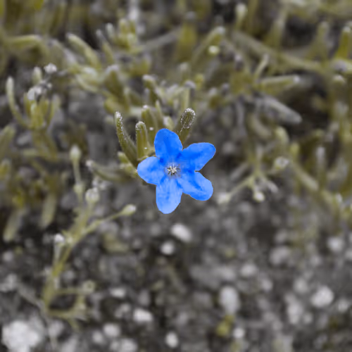 Item #84009224688457436911077818242985162617127929827345760770995272776273834803201 Media