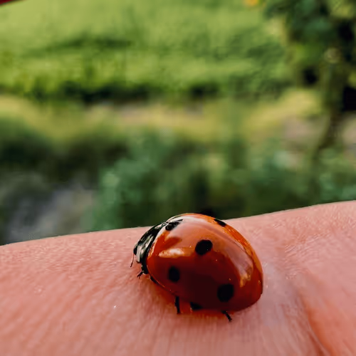 Item #81264116293153196622242170516839975314280504083087949040998467017543398719489 Media