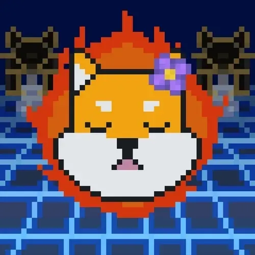 Rocket Shiba #345