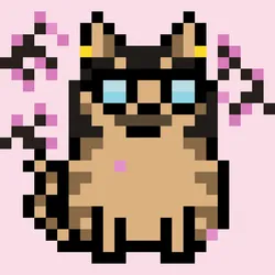 62467536445418901683526312390752010330375978015730577464472951071496428584961