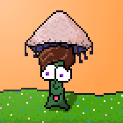 33741781216748986518517832568595493503429706584982134247768926253702839271425