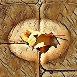 Playground leaf - Picaso