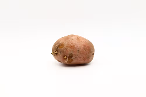 Item #97726151104522163495278545296769301934737660224123995419035737128987044872193 Media