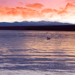 108175385754913638577213036180834446424025282254093362741569171465325531627521