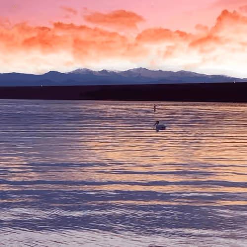 Item #108175385754913638577213036180834446424025282254093362741569171465325531627521 Media