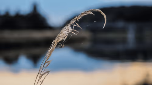 Item #78464675598329895338856076763730346040236516437073634463392275771139504996353 Media