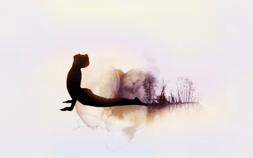 Item #37656550722524954917727801001125287638299605060918768168446486698428354002984 Media