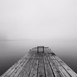 Fog