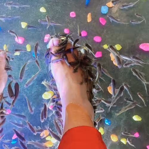 Untitled Collection #189715597