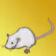 1274604328964885283847791135493237248806731271145638488464024696756994310169