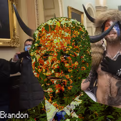 21688527815507990779780435242269546376679550267989735943769096763263131058177