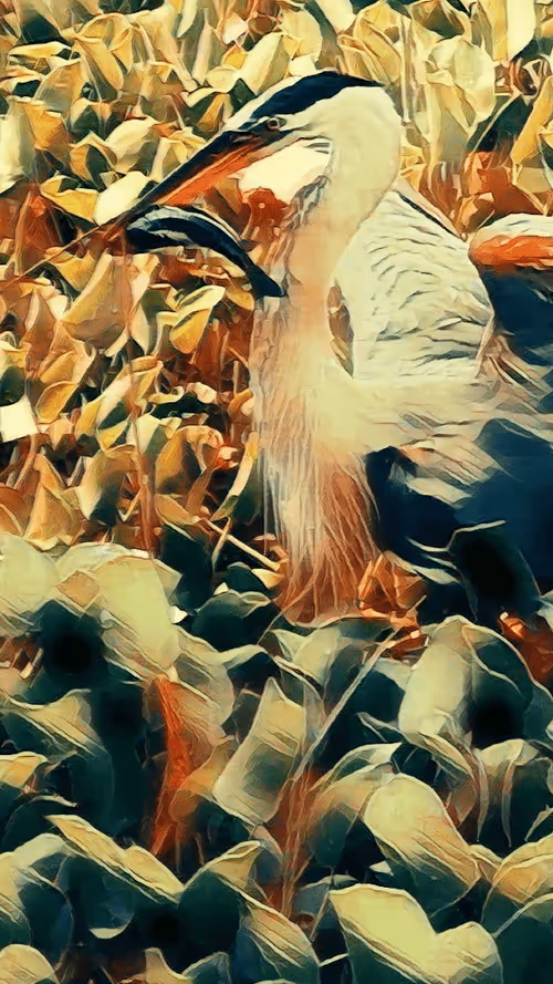 Item #100665082396174141855890121014930740576826293569193813829950182092600781045772 Media