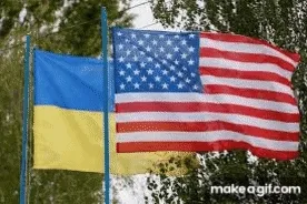 Untitled Collection #181626578