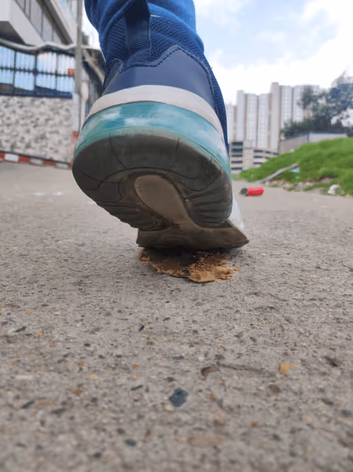 Item #46030170572338065013954339165187362546387663606248340675285172521142144991233 Media