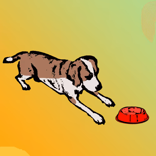 Item #62345621683661683193713543406616418673876020109873424311626099105872828432385 Media