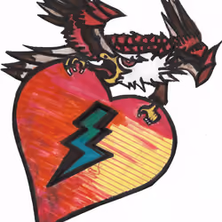 Flash