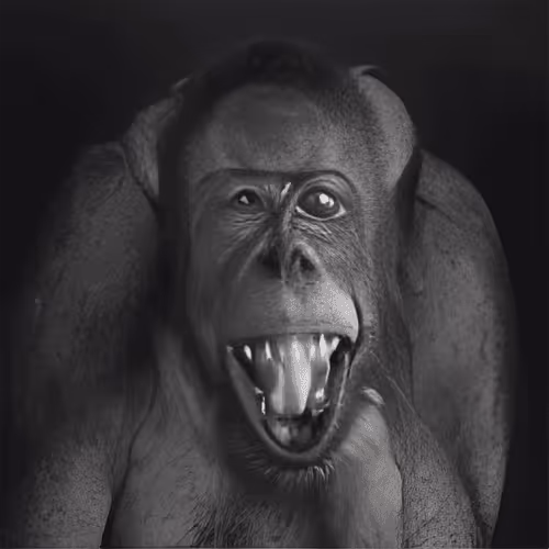 Item #98771142752491223589029056332849600761606894318122094950927074789457532026881 Media