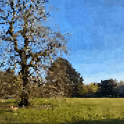 Dancing in the crisp light