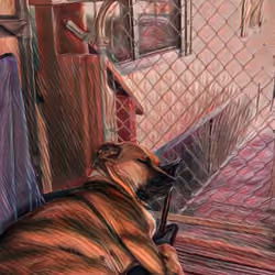 JoJo the Crypto Pup #6