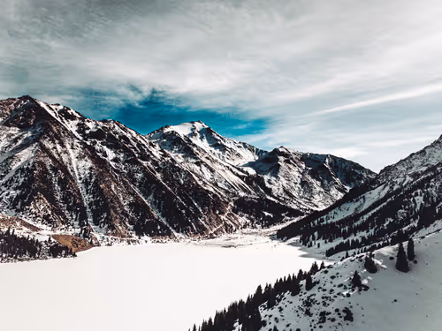 Untitled Collection #85249484