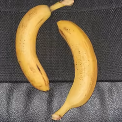 Banana No8