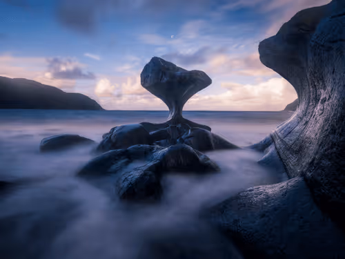 Item #96581077355438815098839991825512832741865857060493476294166675757856341360641 Media