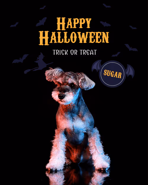 Item #8036610274517614856282005705215780499318604713549687172679363395020855967746 Media