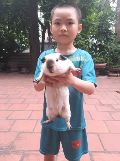 Item #81032937518726781130427896739408939347327063862450356405897967534825059385345 Media