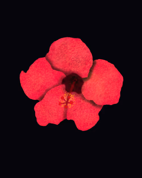 Item #8913673362959098501535163943781552108519886024744012455531375716889943605249 Media