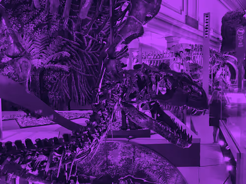 Item #104151926418677363759303450577441756629936009992425548926010600555881277947905 Media