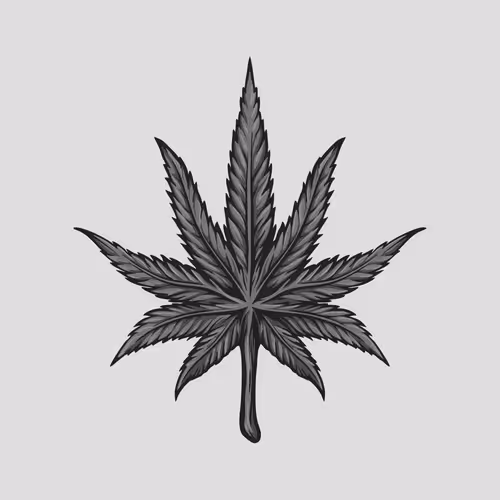 Crypto Nugzz