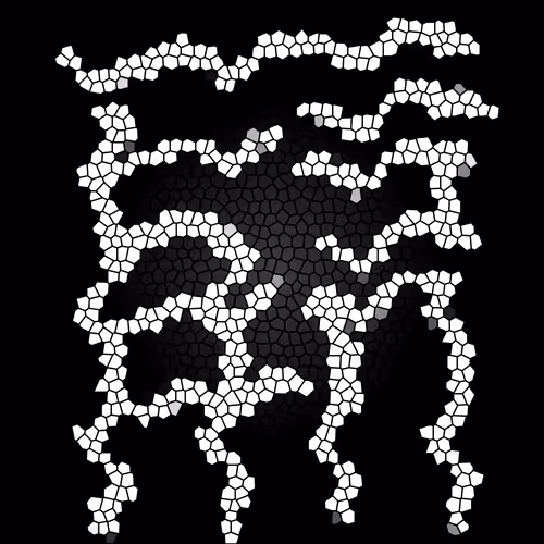 Item #112692583315393289640399895976932165051479569016209638740688330991448352620545 Media