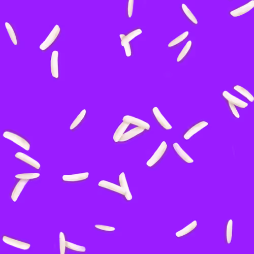 Ricegrains Zip7F9vsae