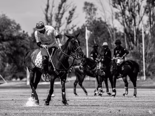 Item #41292547216999824454426259435267855130465343897515309645987456177708193546241 Media