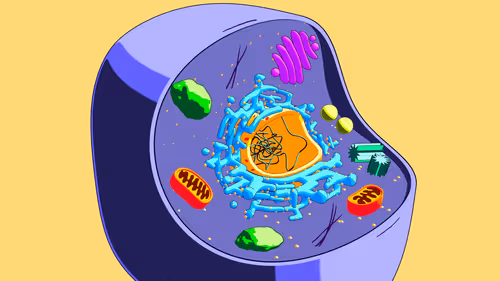 Item #43398692827585086931242497302350859957491956974697407010224012947491225862145 Media