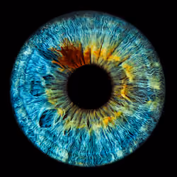 eye2