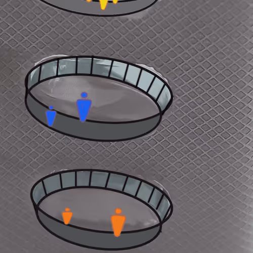 53515895178075351842249913968420667528107296072000175983733416279761498406917