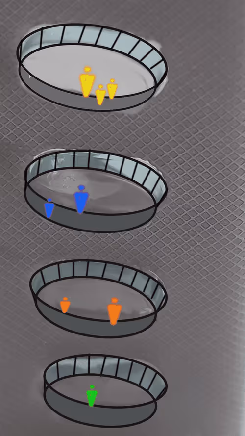 Item #53515895178075351842249913968420667528107296072000175983733416279761498406917 Media