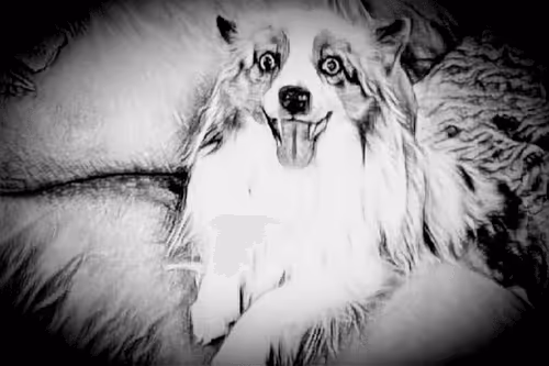 Item #23143313246472061328071561115701105421589606567298838424350448144539522695169 Media