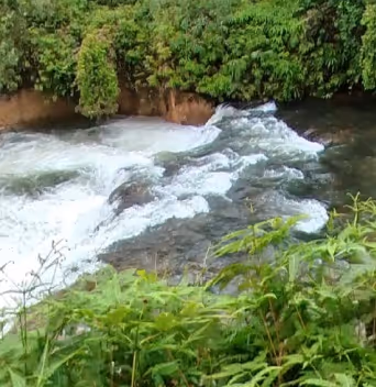 Item #112890546658256020010582806142822208368598146166269360880018245387962567098369 Media