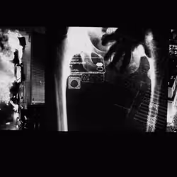 45576425564904372626892608315059614446222544919153294335331944258863389212673