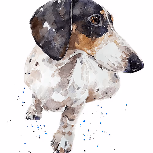 Item #15308155937593783866228062712704217529335676444312394672786838606229251555333 Media