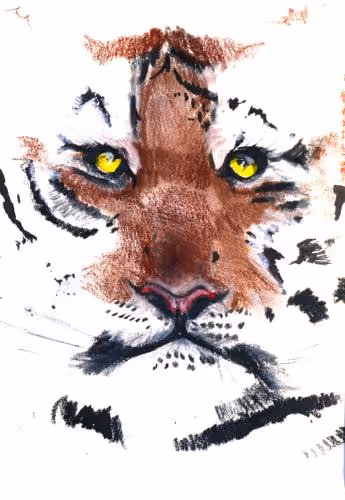 tiger