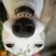 111340008568464839749725527193530374957676033007483121093957148937477733482497