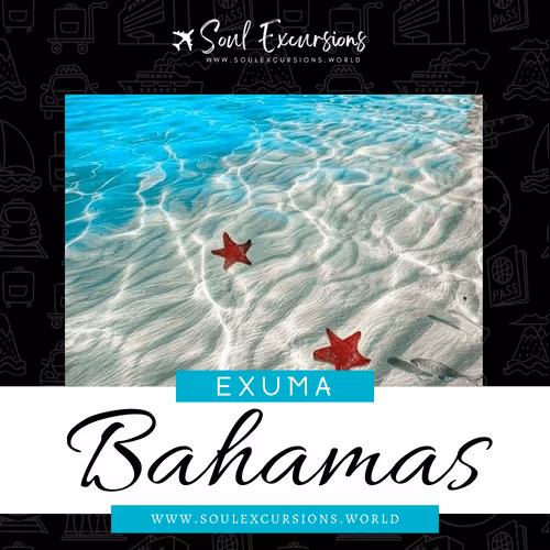 Item #66062759259298317495242665808143605487960305521075017354073139697769152249857 Media