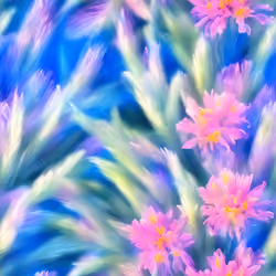 Flowers #0035